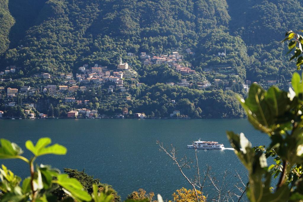 Residenza Andrea Olga Apartment Laglio Bilik gambar